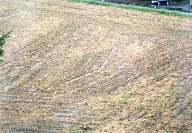 Juli 2002 -  h 4.jpg - Zwischen Rhönweg (ehem. Salinger Weg) und Ewald-Görshop-Straße - Durch das Befahren des Ackers wurde der Boden so verdichtet, dass das Wasser nicht versickert.